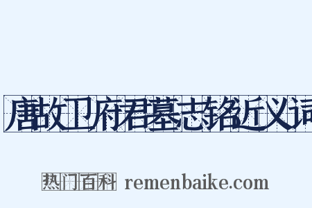 唐故卫府君墓志铭近义词是什么意思的图片